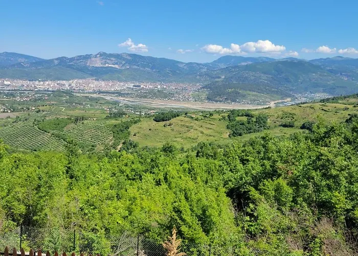 Bujtina Qosja